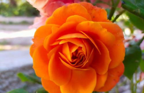 Casa Marina Lu Tuvaraggiu Casa vacanze - Photo 30