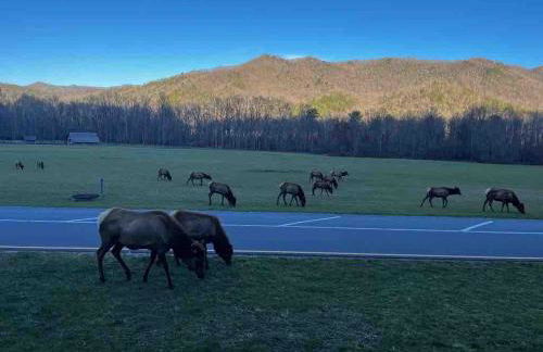 Mountain Heaven - Foto 20