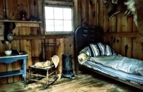 Rustic Cabin Retreat on the Ten Mile River in Narrowsburg, New York - Foto 61