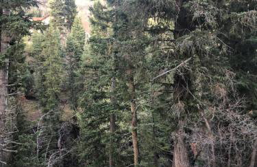 Midway Mountain Cabin Near Park City 7 bdrm 4ba - Foto 54