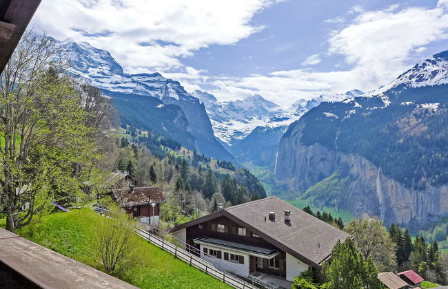 Plein Soleil - Foto 15