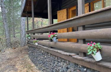 Woods Etna Chalet - Foto 2