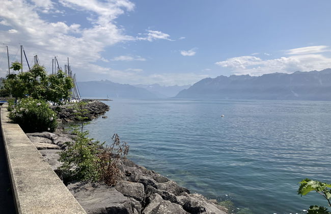 Petit Nid de Pully - Foto 18