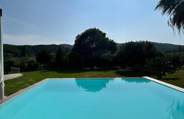 Ktimaoliva1 - Foto 43