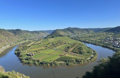 Ferienhaus Leopold mit Burgblick an der Mosel - Foto 78