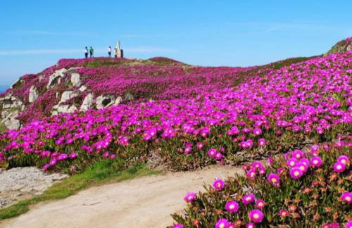 La Casita de Suances 1 - Foto 30