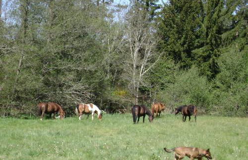 Gîte Le Pont du Monet - Foto 6