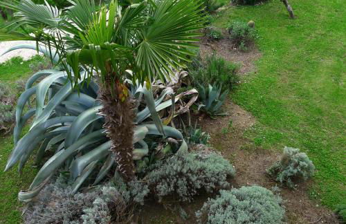 Agriturismo Bellavista - Foto 12