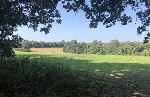 Top Farm Shepherds Lodge - Foto 23