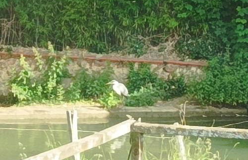 La maison au bord de l'eau - Foto 25