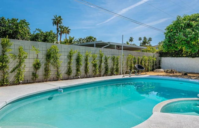 Mountain View Mid-century - Foto 42