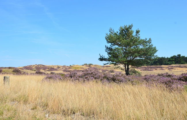 Detached Holiday House With Wifi and a Large Garden; Hike and Bike the Veluwe - Foto 25