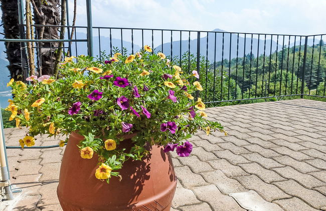 al Ronchetto - Foto 6