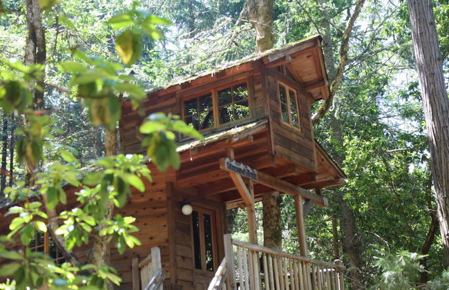 Out 'N' About Treehouse Treesort - Photo 13