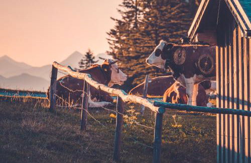 Relax Appartment Walchensee - Foto 55