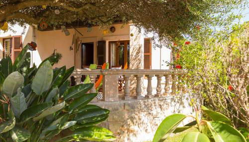 Alga Marina - Foto 1, Other