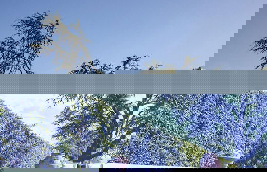 Villa Luigina 8 in Capannori - Foto 70