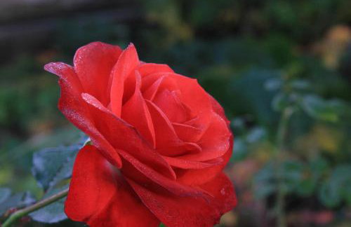 Apartments by the sea Lun, Pag - 9395 - Photo 12