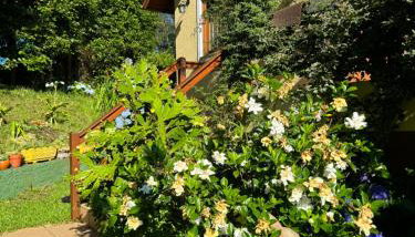 Recanto DOIS Pinheiros RS - Foto 5, Garden, Garden view