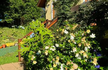 Recanto DOIS Pinheiros RS - Foto 5