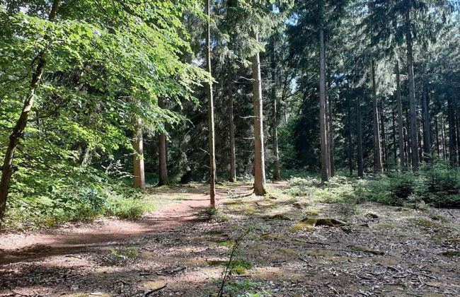 Luxury Spa Castle With Swimming Pool - Foto 37