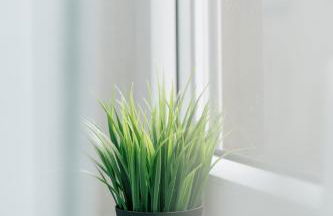 FeriendomizilaufderZollernalb - Foto 7