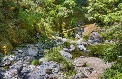 Buck Hollow - Foto 55