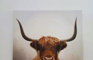 Green Cottage - Snowdonia - Foto 43