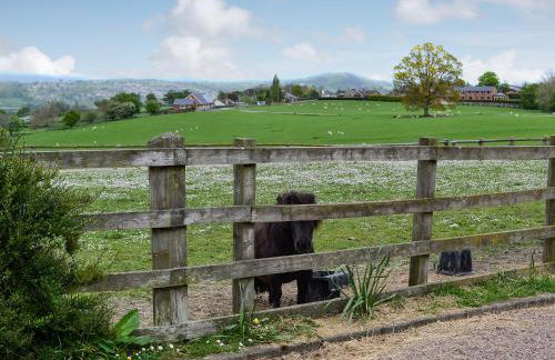 Powis Castle View - Foto 16