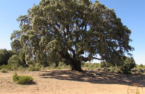 EL CAPRICHO DEL BURGO - Foto 56