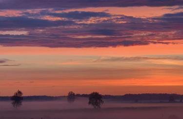 Sea the Blue Garden SPA Odargowo - Foto 59