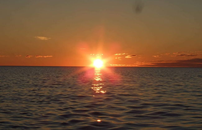 Holiday Home in Rebbenes - Foto 28