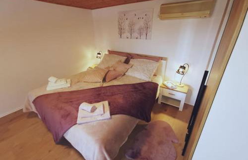 Apartman Cottage house Brest(Buzet) i ugodan odmor - Foto 37