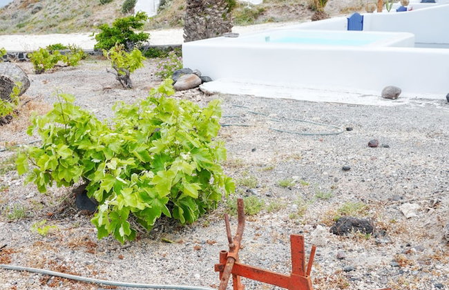 Α Peaceful Seafront Escape in Santorini- Sonus Mare - Foto 63