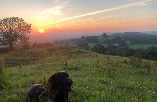 1 Bed Cabin - Sleeps 2 - 15 Mins From Lyme Regis - Foto 12