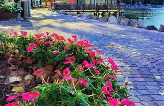 Appartamento Elena - Foto 42