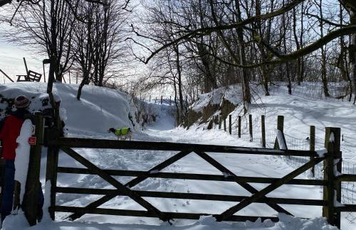 Woodland View - Photo 27