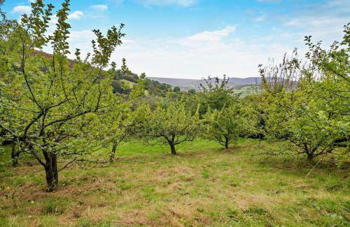 2 Bed in Cwmdu oc-l30162 - Foto 28