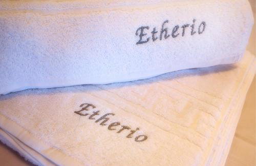 Etherio House - Photo 15