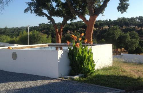 Monte das Texugueiras - Foto 15