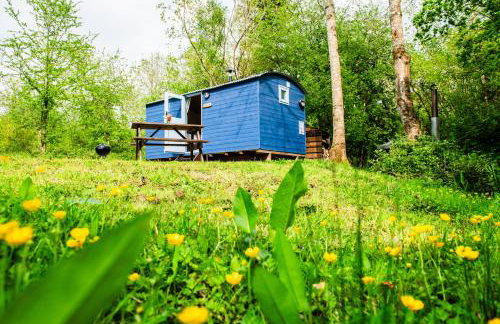 Cosy Shepherd's Hut with Hot Tub - Foto 1