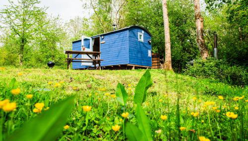 Cosy Shepherd's Hut with Hot Tub - Foto 1