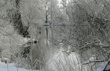 Hof Schwericke - Foto 15