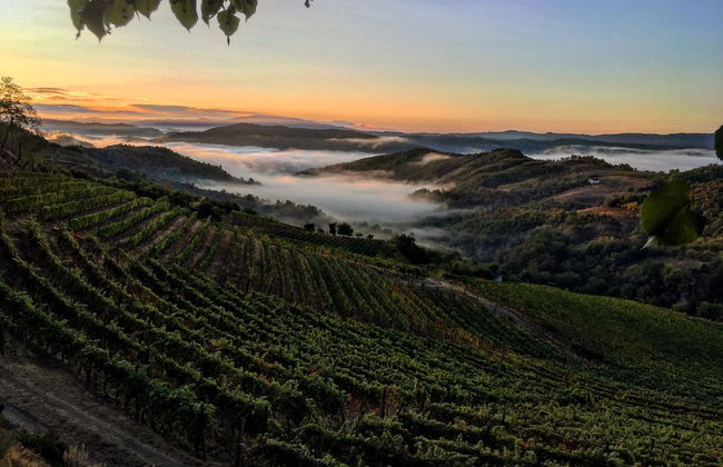 Cascina Bertolotto Wine Resort. - Foto 32