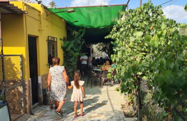 Casa Tropical, serene poolside retreat in nature - Foto 38