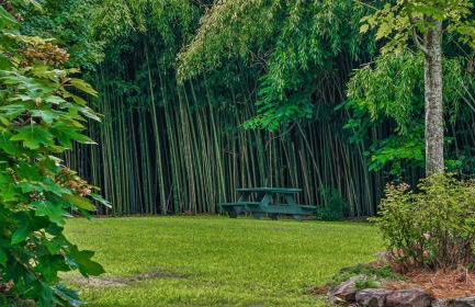 Boho Mountain Cottage - Foto 14