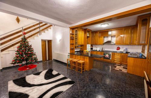 ΜΕΤΕORΑ- KALAMBAKA- TRIKALA-Villa Toscana - Foto 24