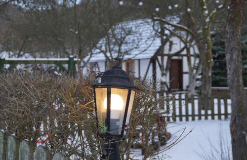 Górski Sad - Bazylia - Foto 23