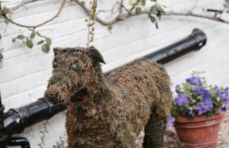 Highfield Lodge - Photo 24