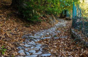 Agiasos House - Foto 12